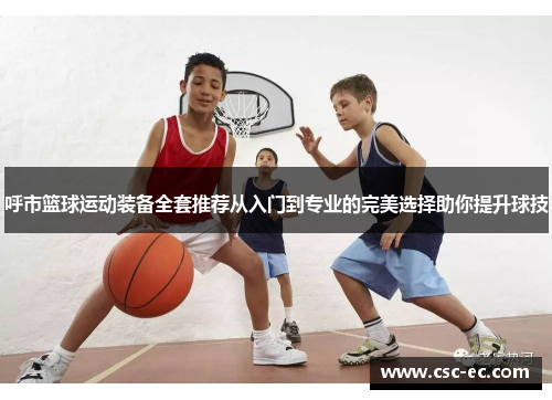 呼市篮球运动装备全套推荐从入门到专业的完美选择助你提升球技
